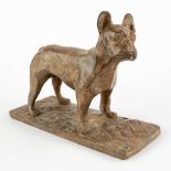 Pierre CHENET (XX-XXI) 'Bulldog' patinated bronze. (D:9 x W:20 x H:15 cm)