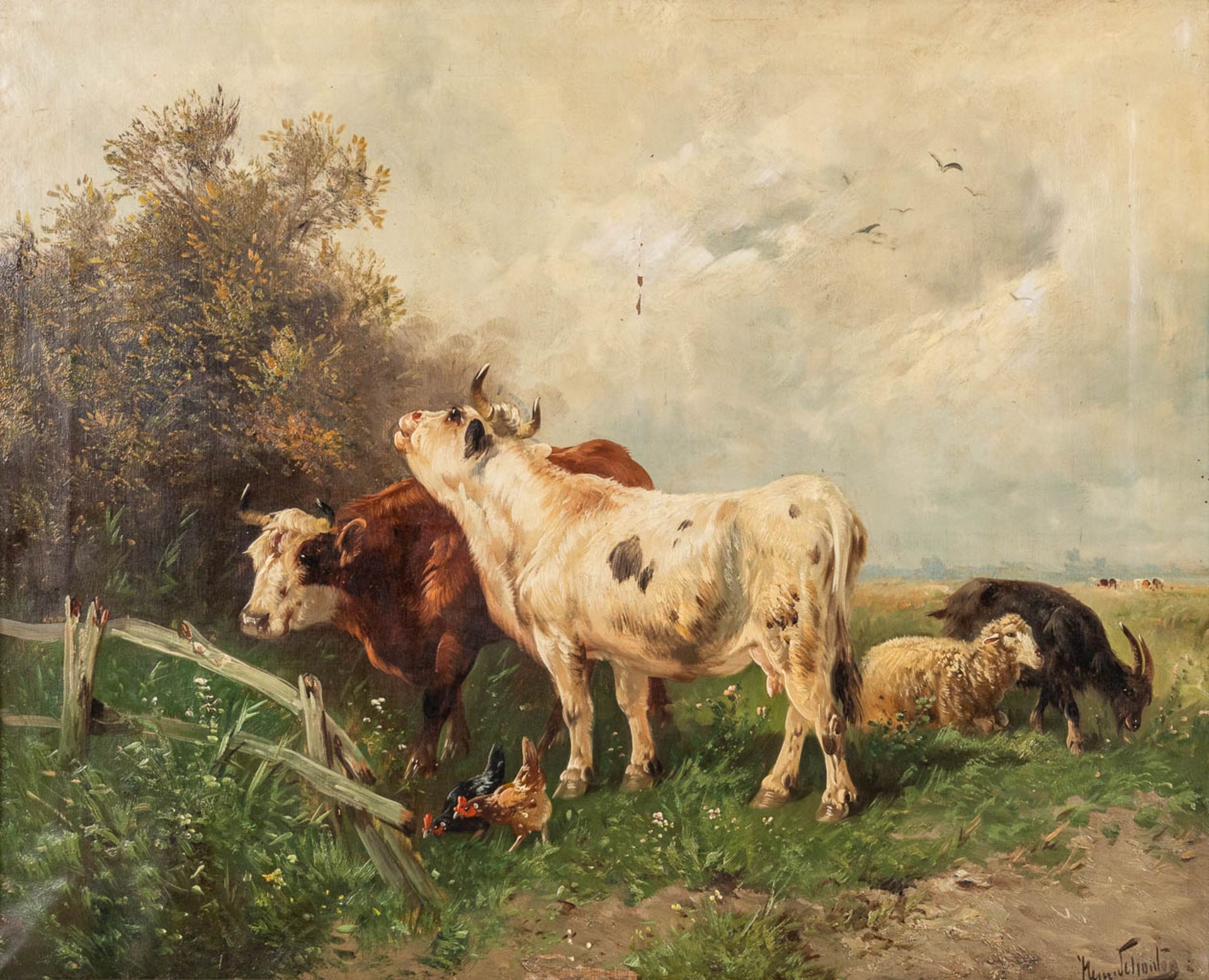 Henry SCHOUTEN (1857/64-1927) 'Cattle in the field' oil on canvas. (W:100 x H:81 cm)