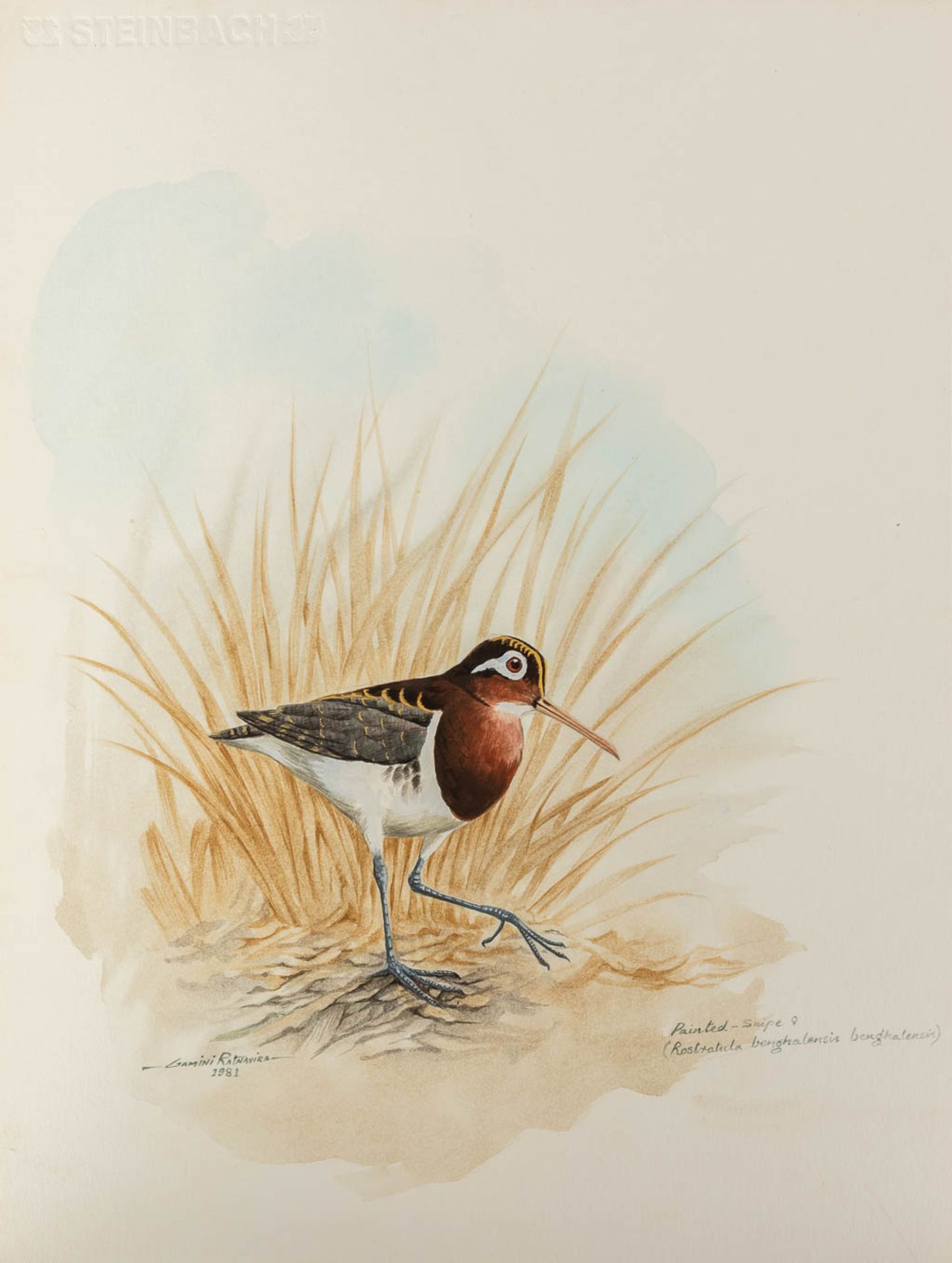 Gamini P. RATNAVIRA (1949) 'birds', 20 drawings, watercolour on paper. (W:27 x H:36 cm) - Image 29 of 40