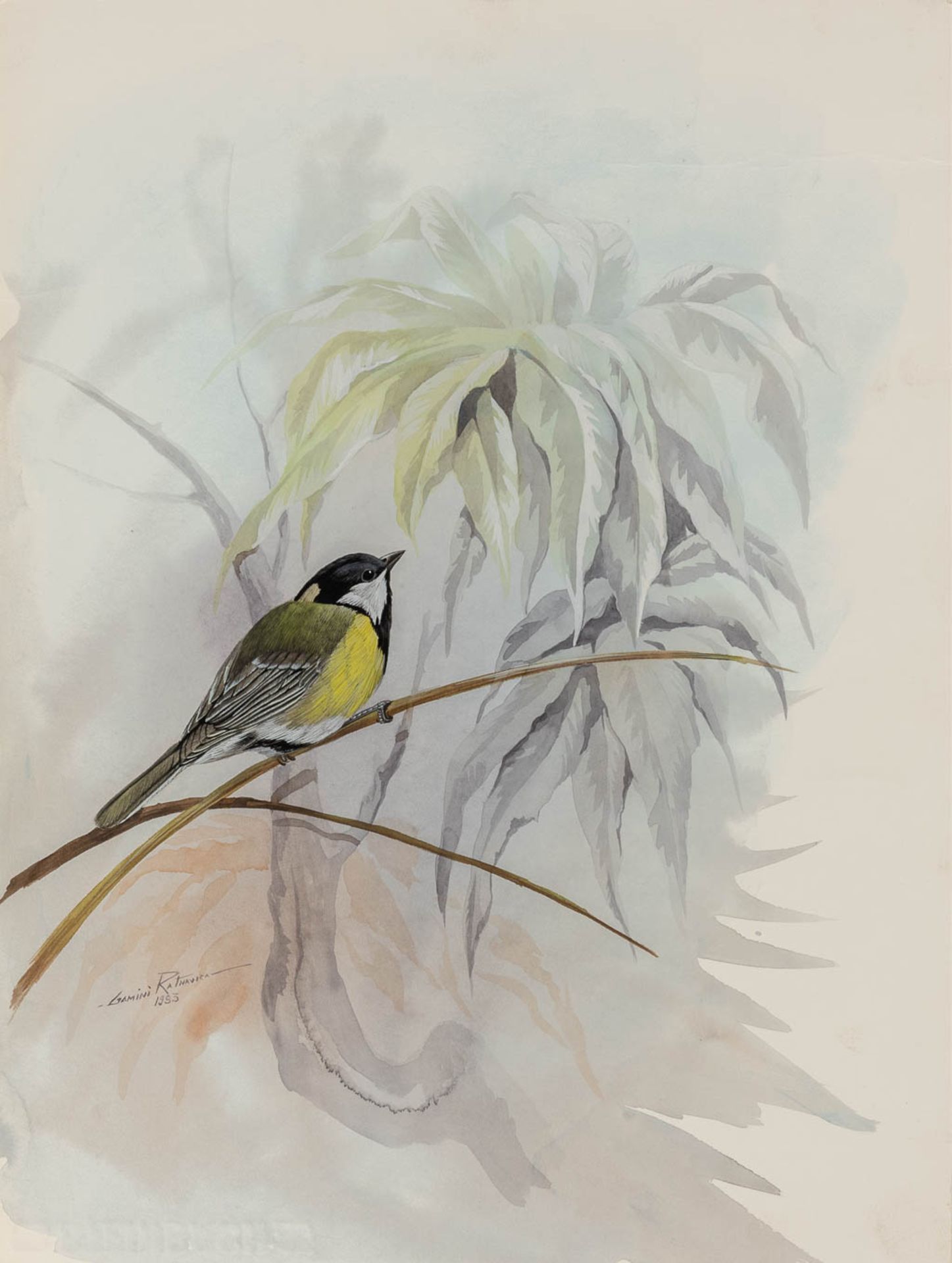 Gamini P. RATNAVIRA (1949) 'birds', 20 drawings, watercolour on paper. (W:27 x H:36 cm) - Image 24 of 40