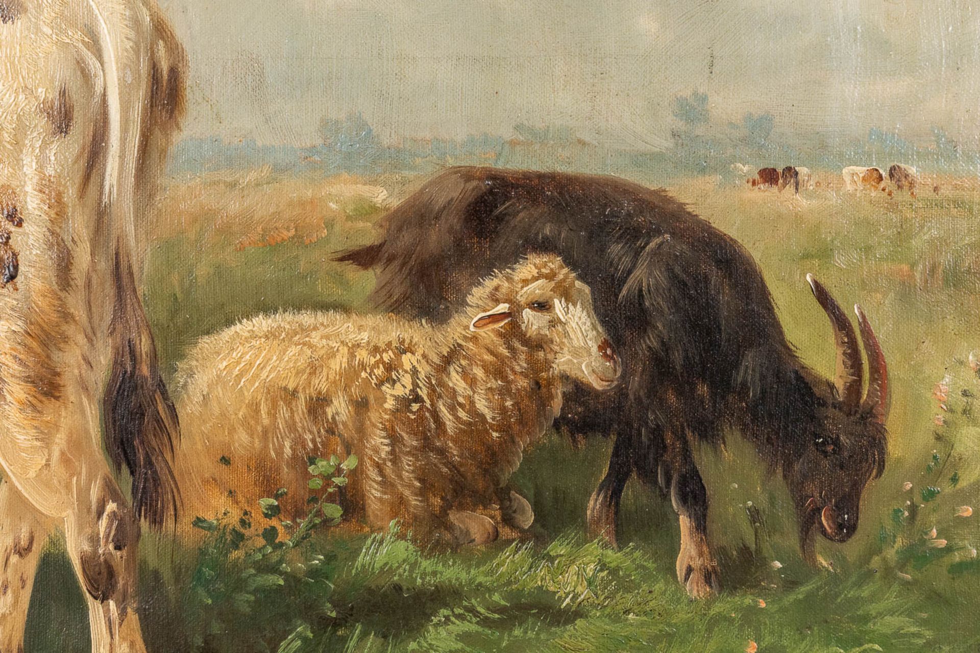 Henry SCHOUTEN (1857/64-1927) 'Cattle in the field' oil on canvas. (W:100 x H:81 cm) - Bild 6 aus 9