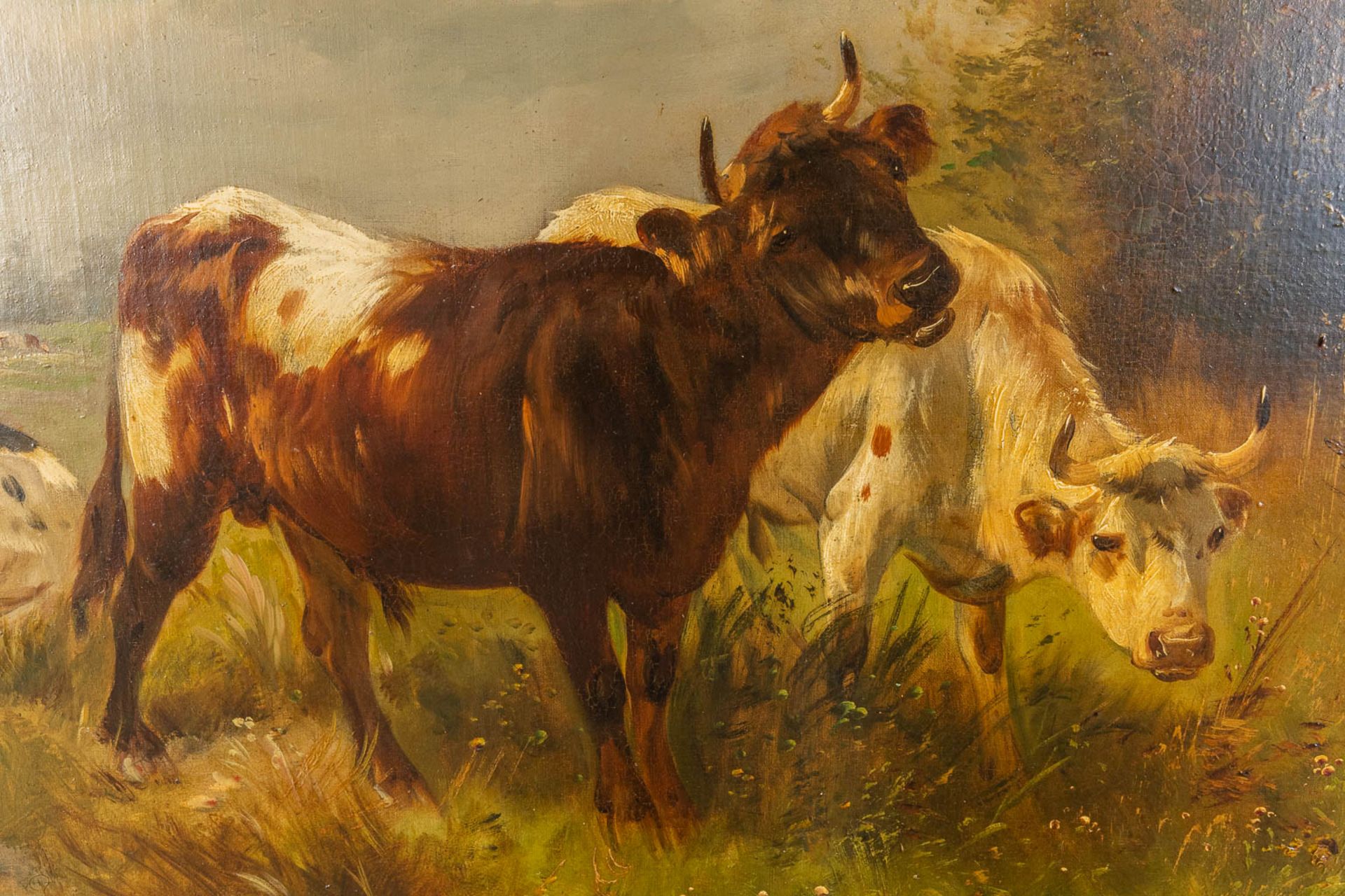 Henry SCHOUTEN (1857/64-1927) 'Cattle in the field' oil on canvas. (W:120 x H:86 cm) - Image 5 of 7