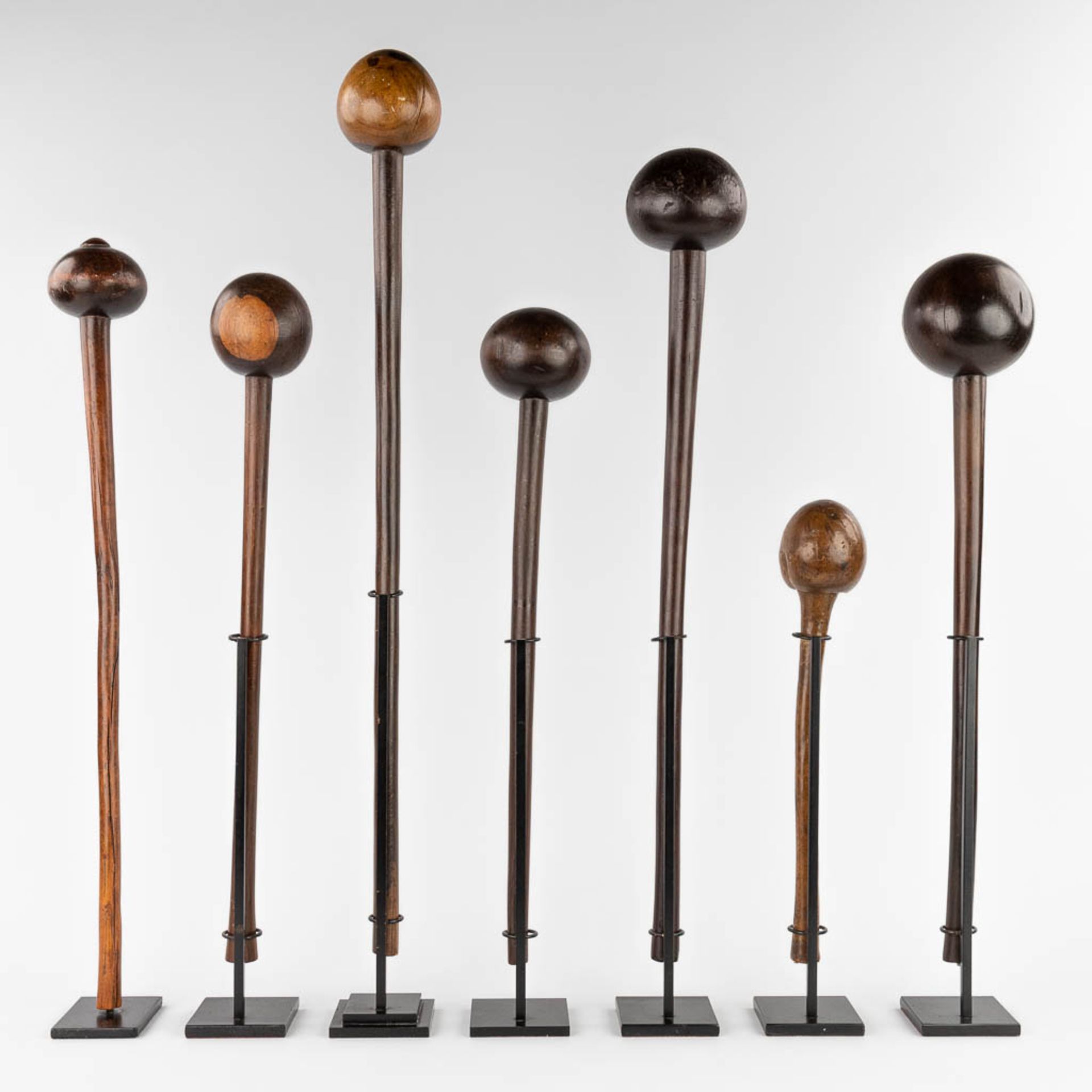 A collection of 7 Zulu Knobkerie, South Africa. Mounted on a metal frame. (H:74 cm) - Bild 5 aus 14