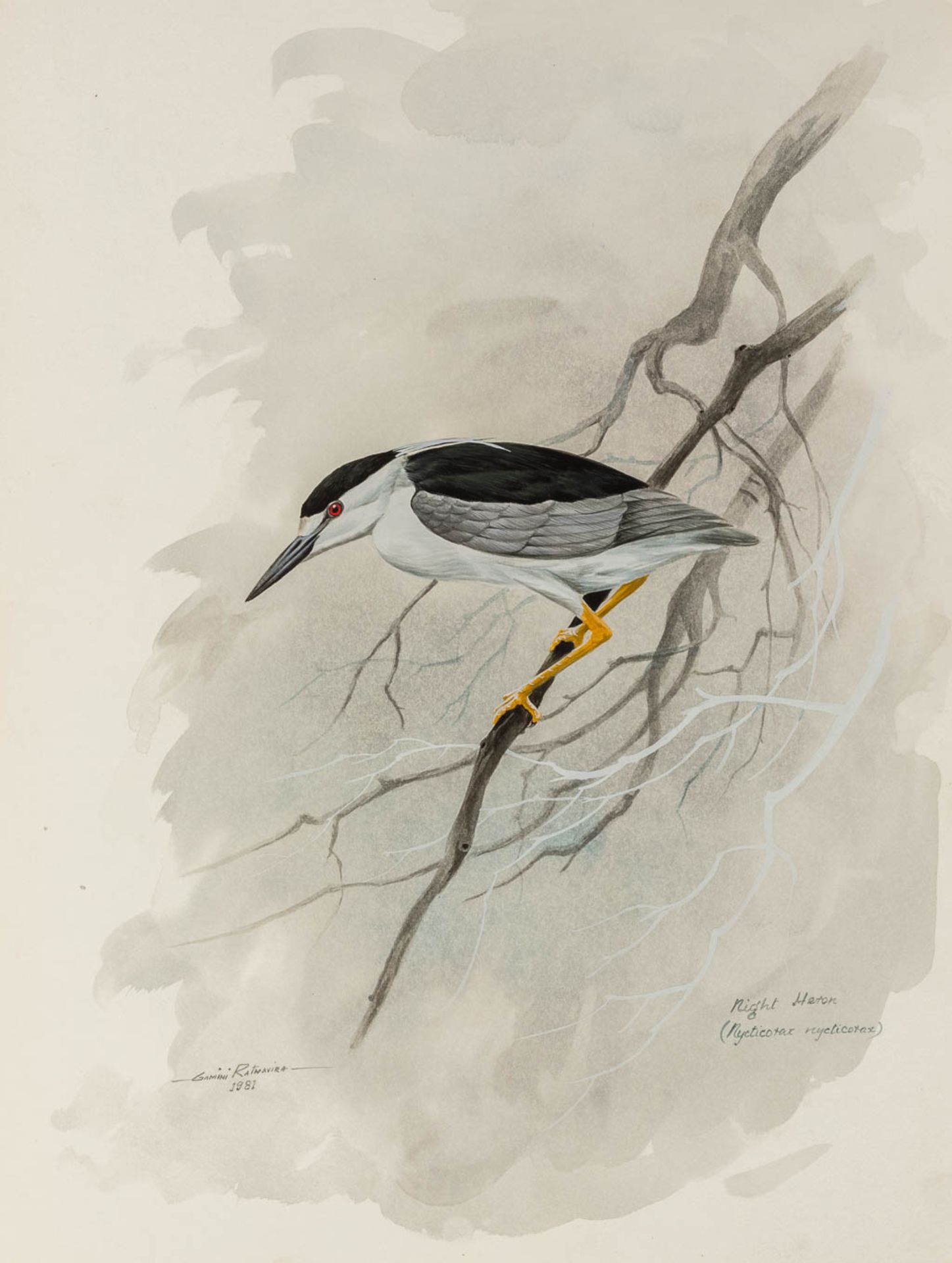 Gamini P. RATNAVIRA (1949) 'birds', 20 drawings, watercolour on paper. (W:27 x H:36 cm) - Image 39 of 40