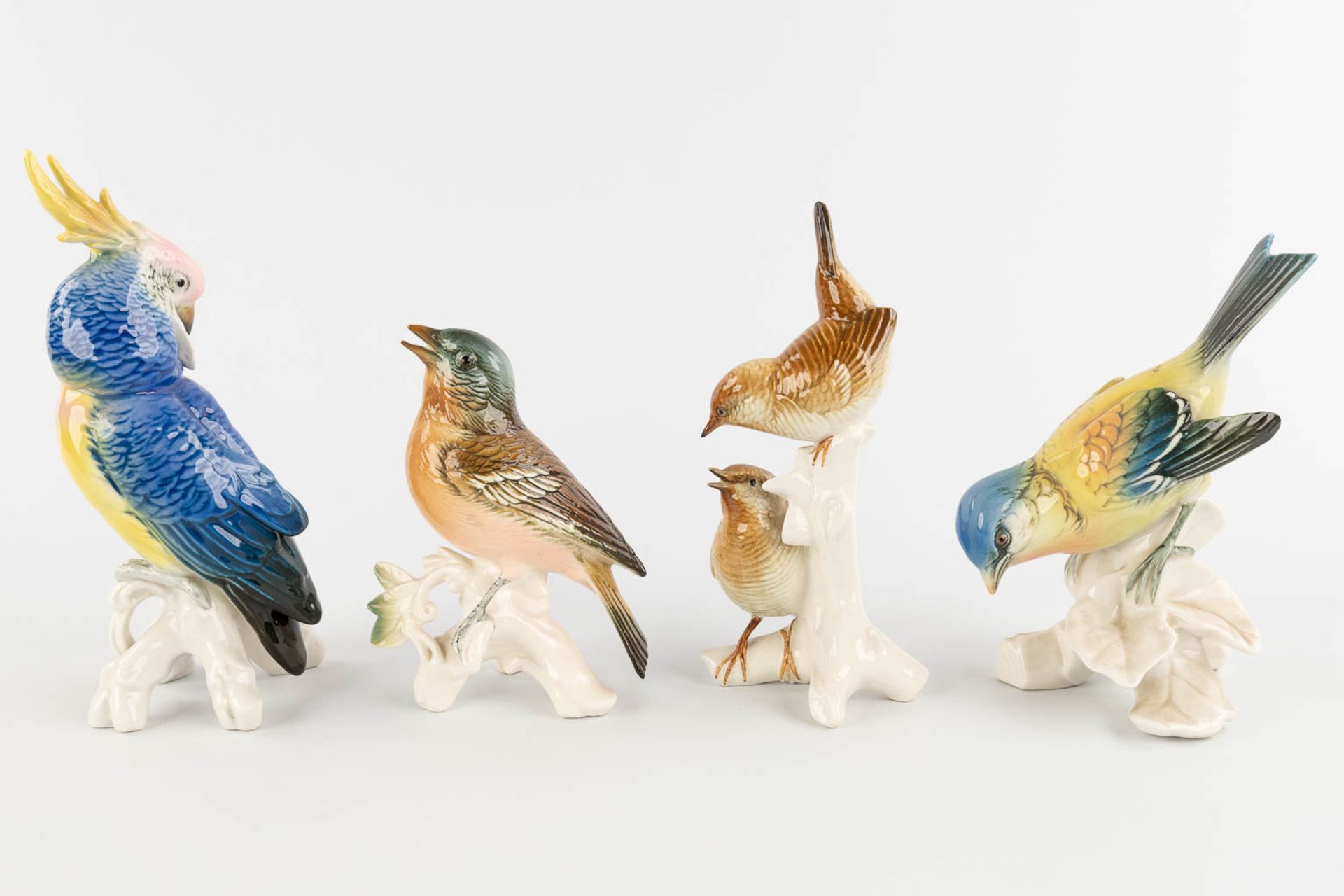 Karl ENS Porzellan, 8 birds, polychrome porcelain. 20th C. (H:19 cm) - Image 5 of 15