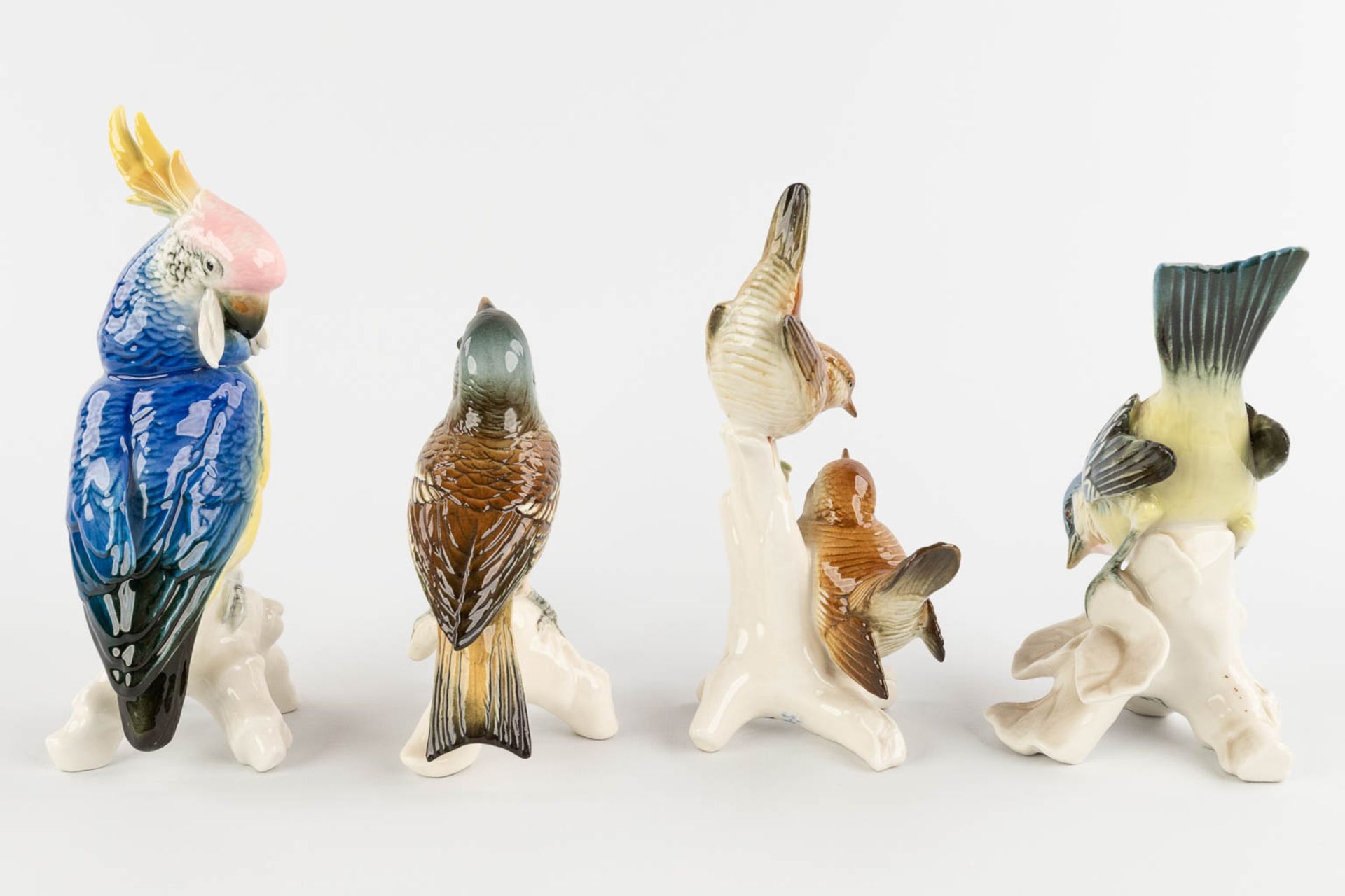 Karl ENS Porzellan, 8 birds, polychrome porcelain. 20th C. (H:19 cm) - Image 4 of 15