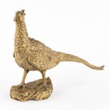 Antonio AMORGASTI (1880-1942)(After) 'Pheasant' posthumously cast. (D:14 x W:47 x H:34 cm)