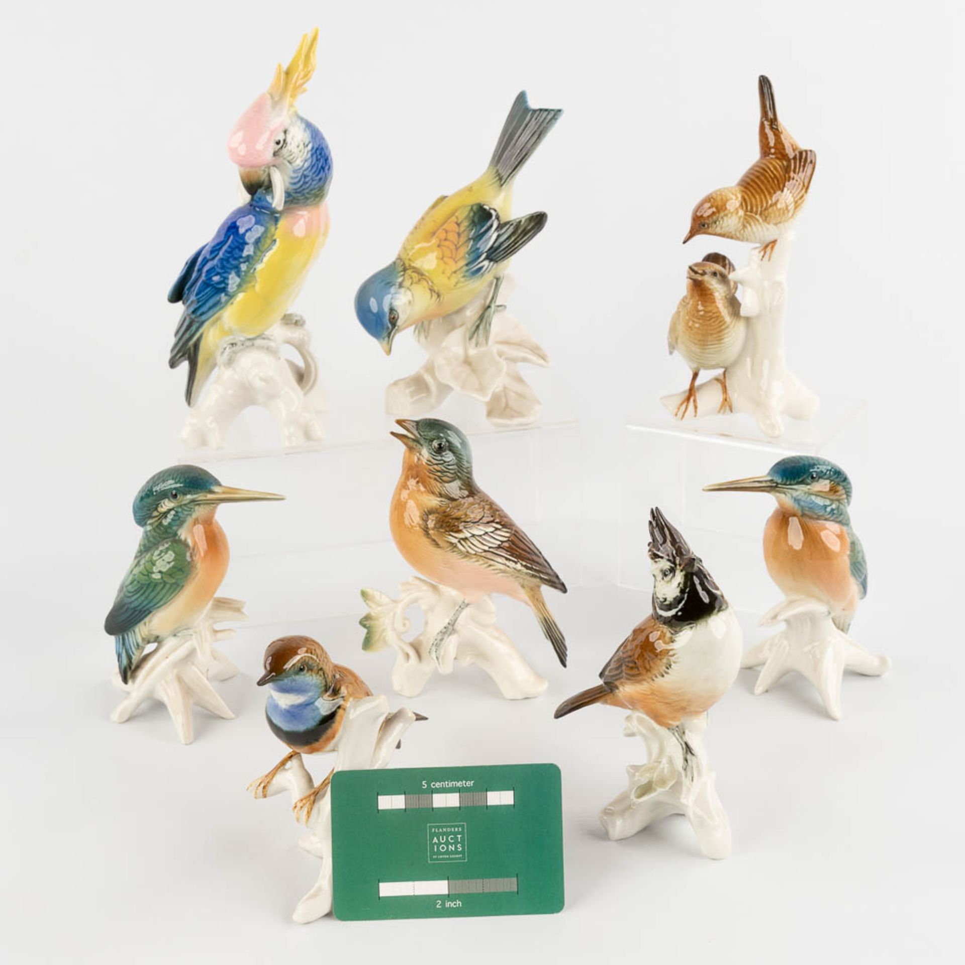 Karl ENS Porzellan, 8 birds, polychrome porcelain. 20th C. (H:19 cm) - Image 2 of 15