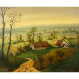 Gies COSYNS (1920-1997) 'Landscape' oil on canvas. (W:60 x H:50 cm)
