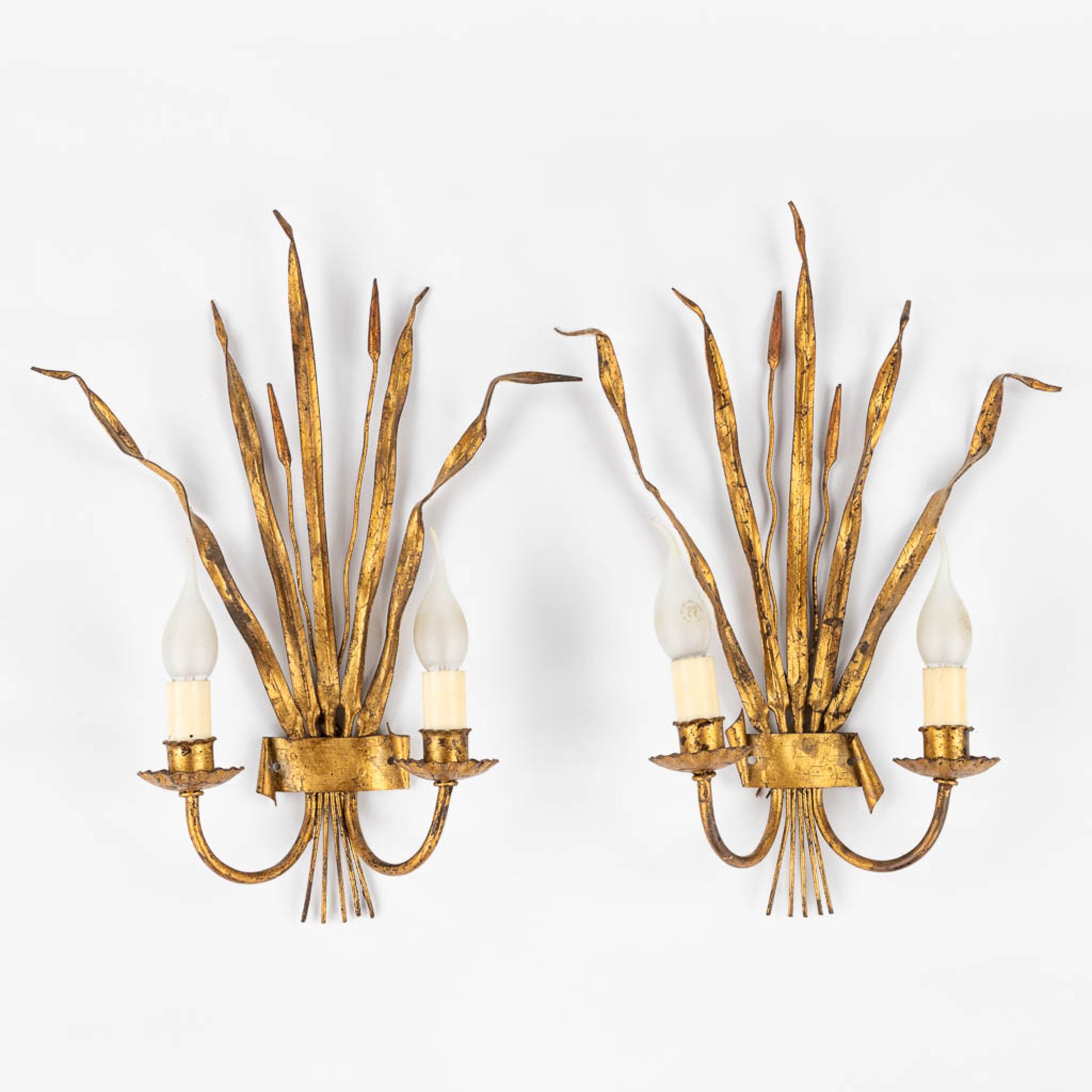 A decorative pair of vintage 'Reeds' wall lamps, gilt metal, Circa 1960. (W:35 x H:48 cm)