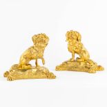 A pair of gilt bronze figurine of 'Chevalier King Charles' dogs. 19th C. (L:13 x W:20 x H:20 cm)