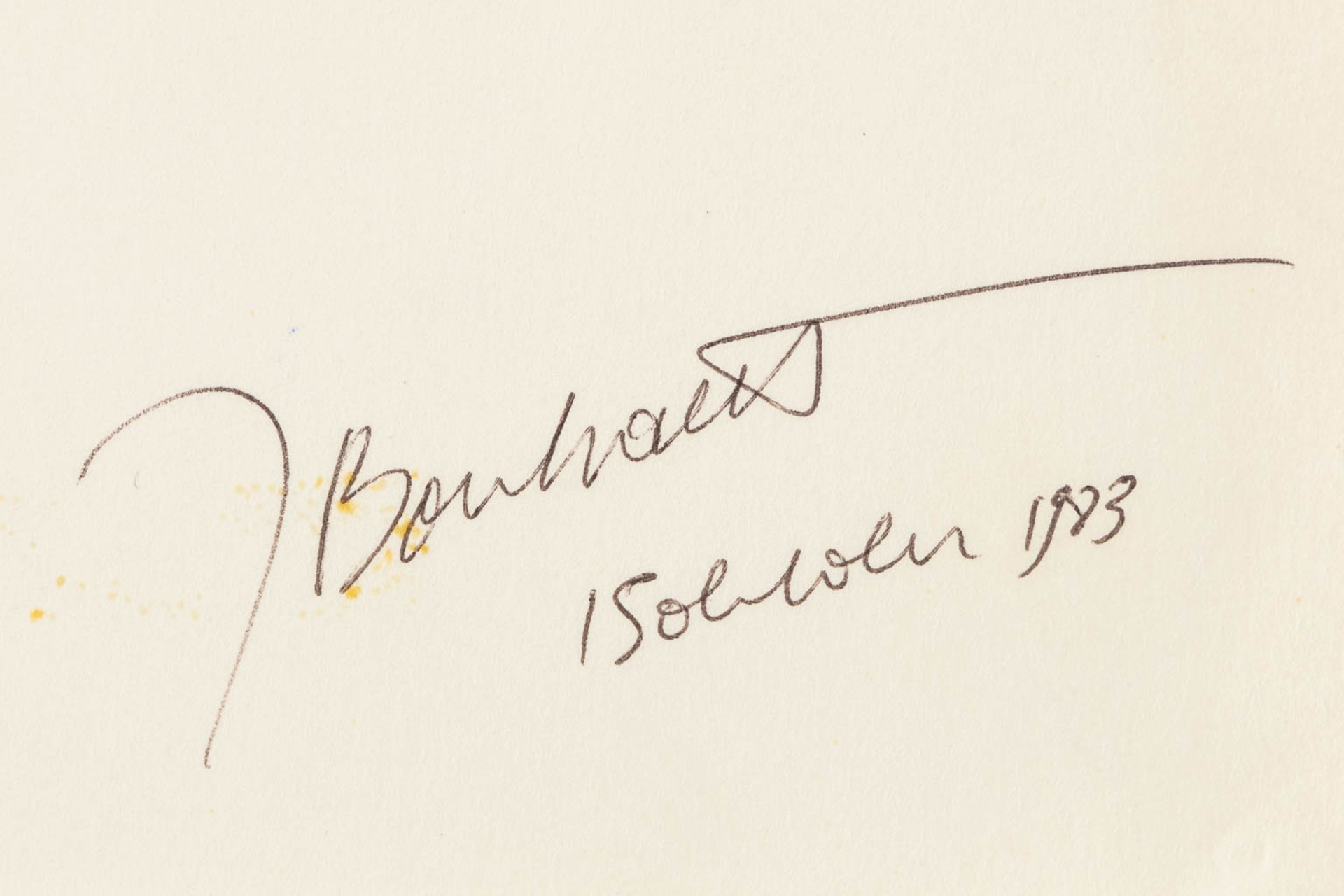 Jan BOSSCHAERT (1957) 'Two drawings' pen on paper. (W:21 x H:29,5 cm) - Image 9 of 9