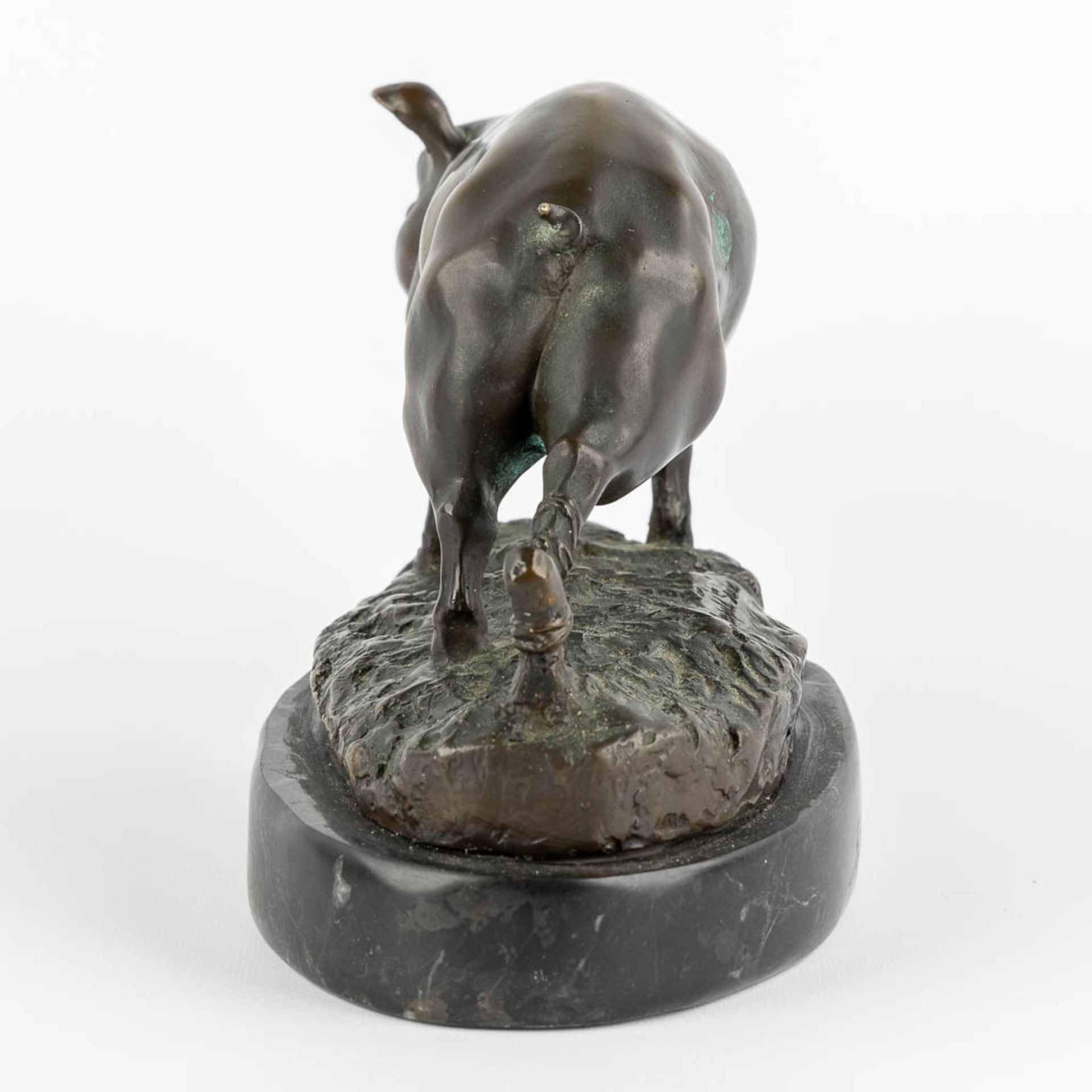 Léopold SAVINE (1861-1934) 'Pig' patinated bronze. (L:14 x W:29 x H:18 cm) - Image 4 of 10