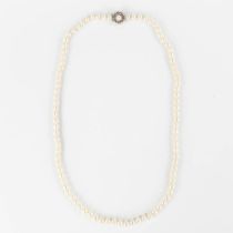 A necklace, pearls with an 18kt white gold lock, decorated with a pearl and diamonds. (L:78 cm)