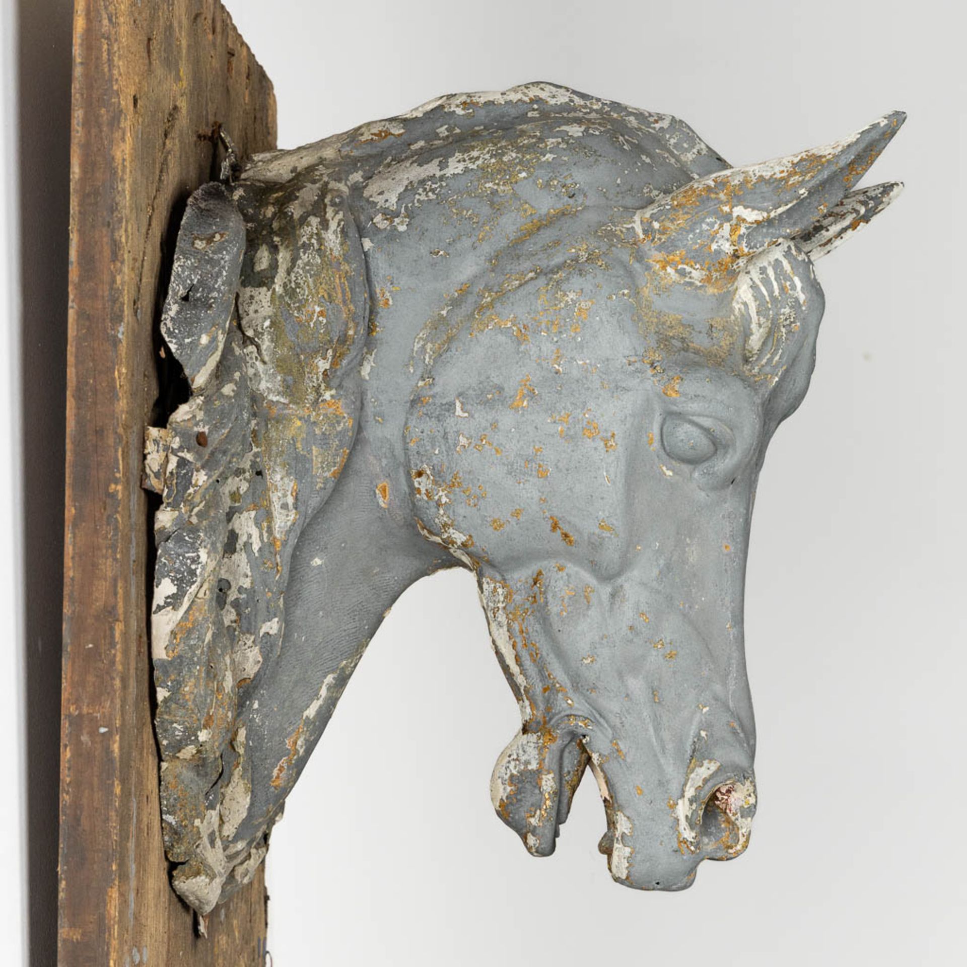 An antique zinc Horse Head, mounted on a wood board. Circa 1920. (L:40 x W:39 x H:44 cm) - Image 11 of 13