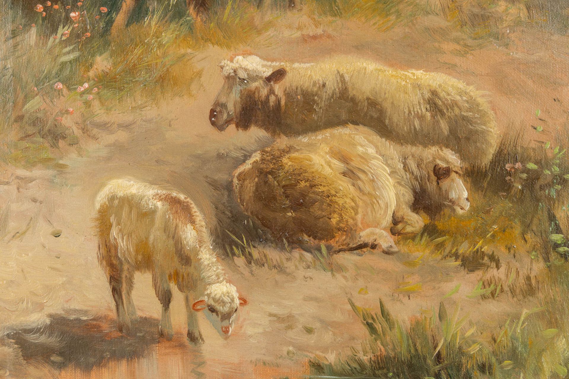 Henry SCHOUTEN (1857/64-1927) 'Sheep herder on the look' oil on canvas. (W:80 x H:60 cm) - Image 6 of 9