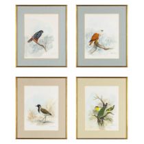 Gamini P. RATNAVIRA (1949) ' Birds' watercolour on paper. (W:26 x H:35,5 cm)