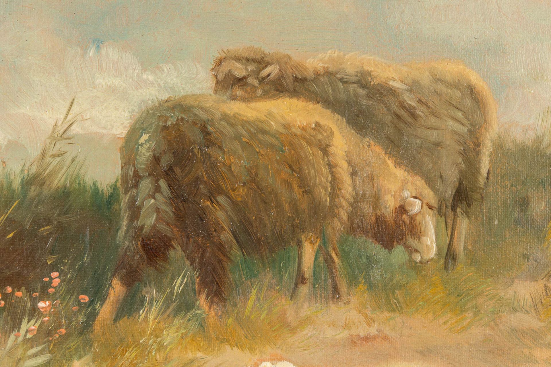 Henry SCHOUTEN (1857/64-1927) 'Sheep herder on the look' oil on canvas. (W:80 x H:60 cm) - Image 5 of 9