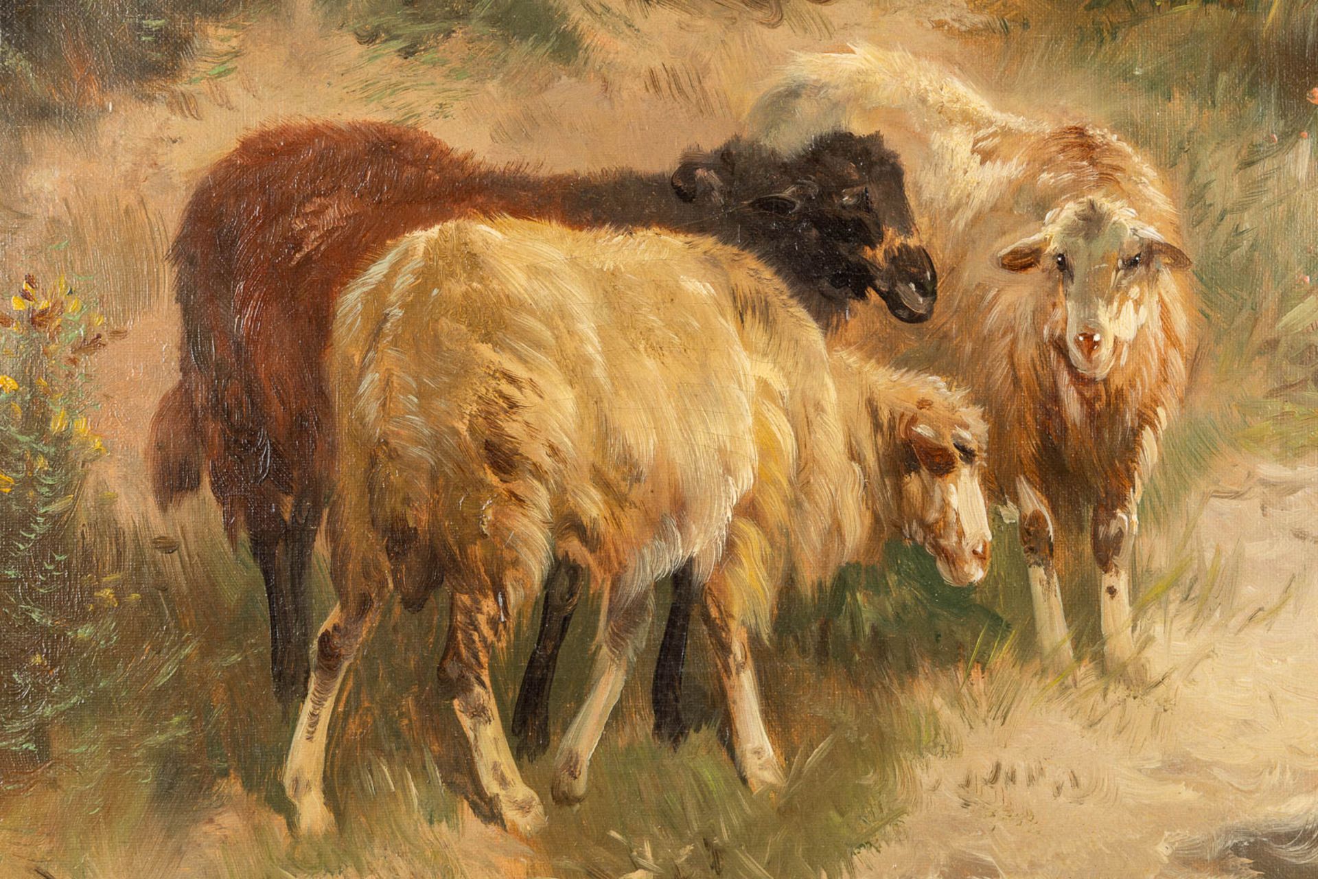 Henry SCHOUTEN (1857/64-1927) 'Sheep herder on the look' oil on canvas. (W:80 x H:60 cm) - Bild 7 aus 9