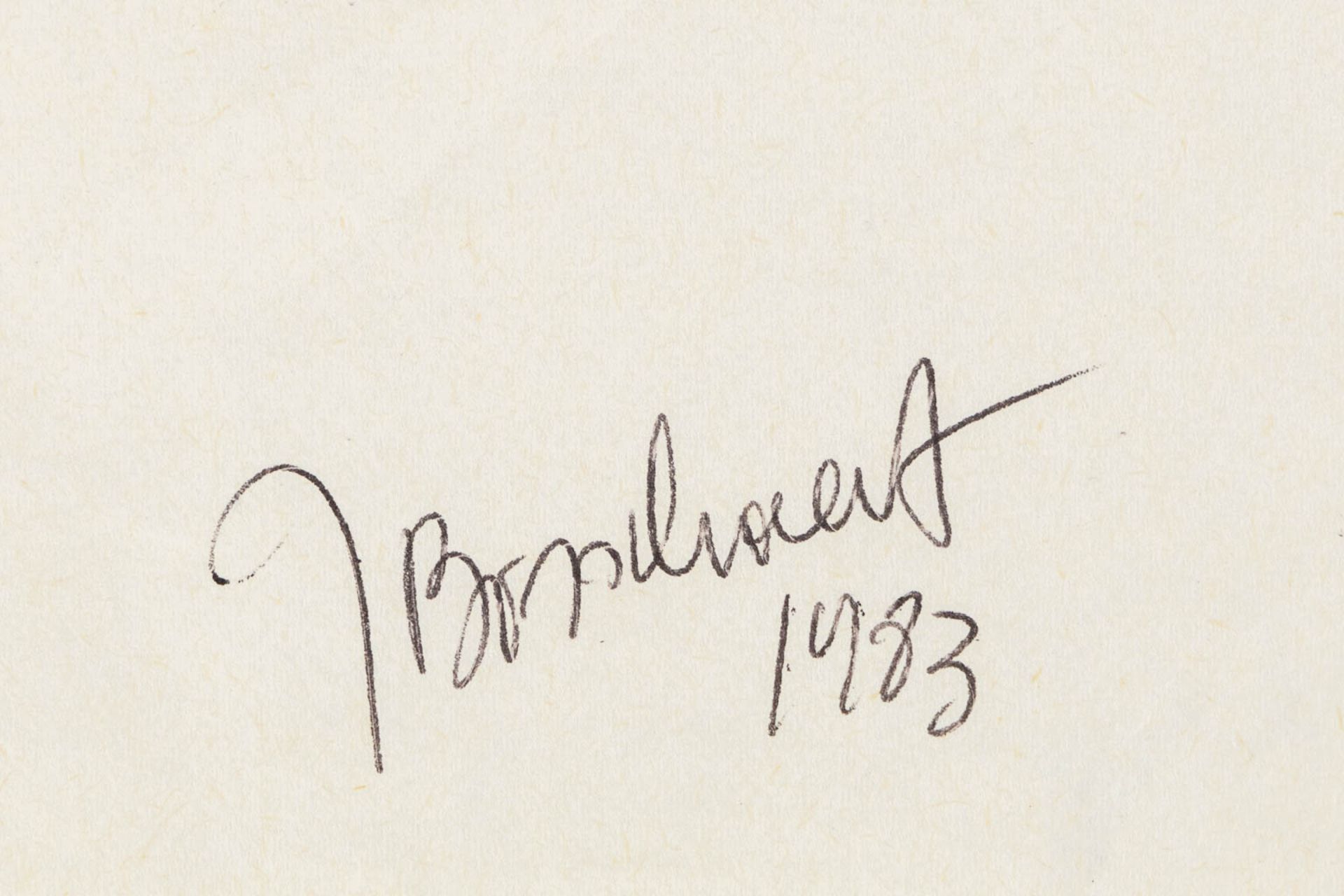 Jan BOSSCHAERT (1957) 'Two drawings' pen on paper. (W:21 x H:29,5 cm) - Image 6 of 9