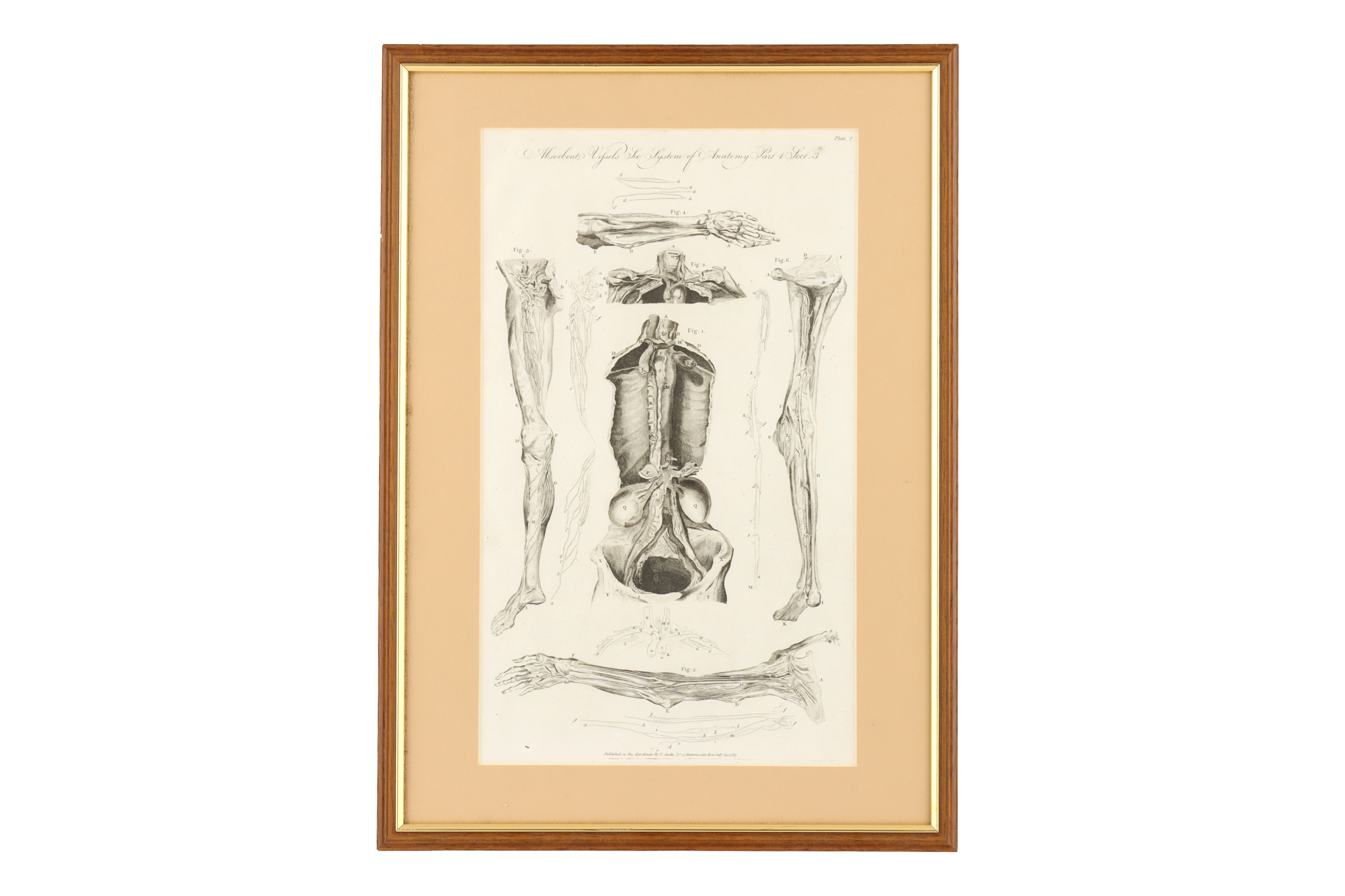 Eight Framed Antique Medical Prints,