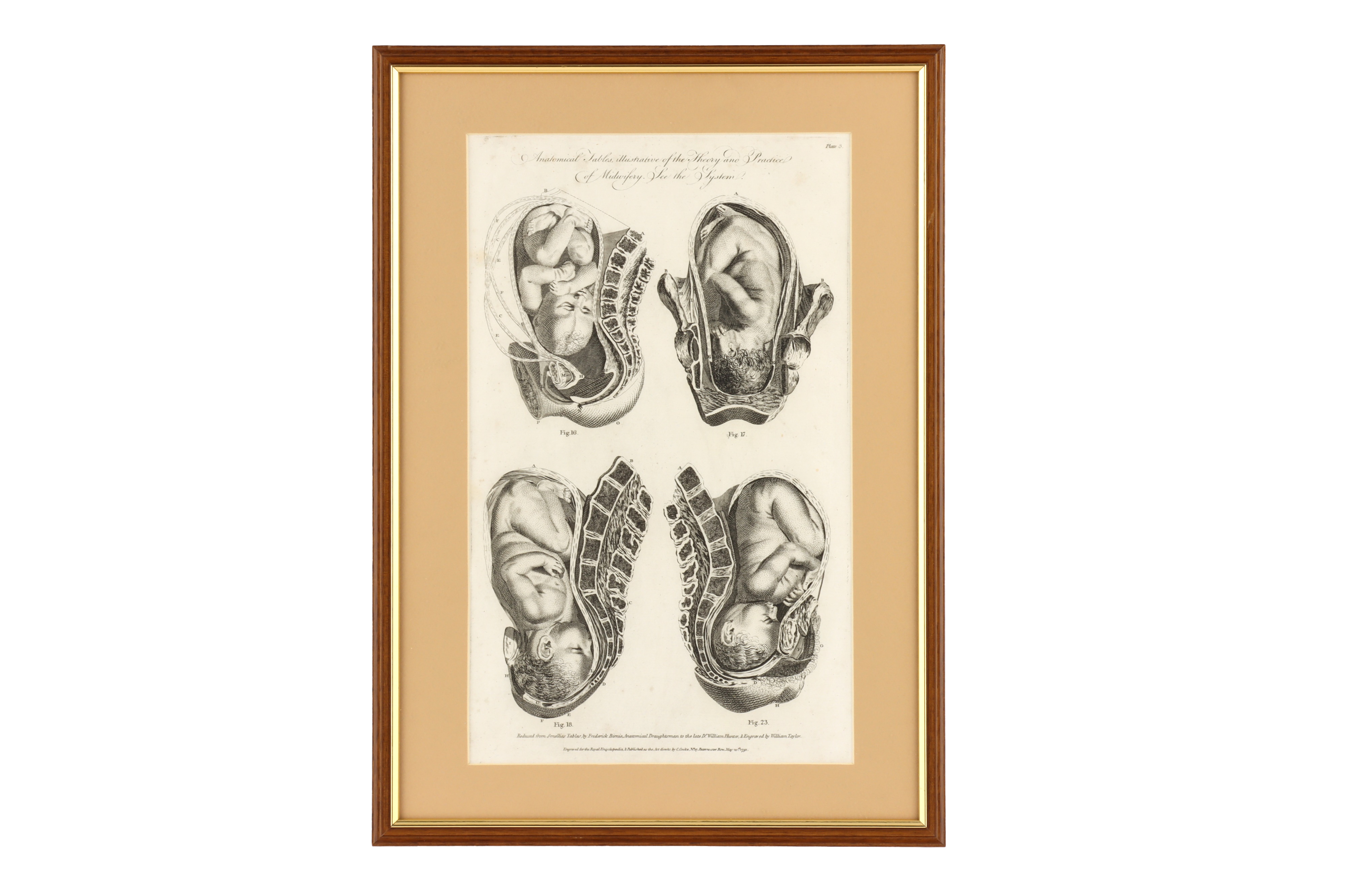 Eight Framed Antique Medical Prints, - Image 2 of 9