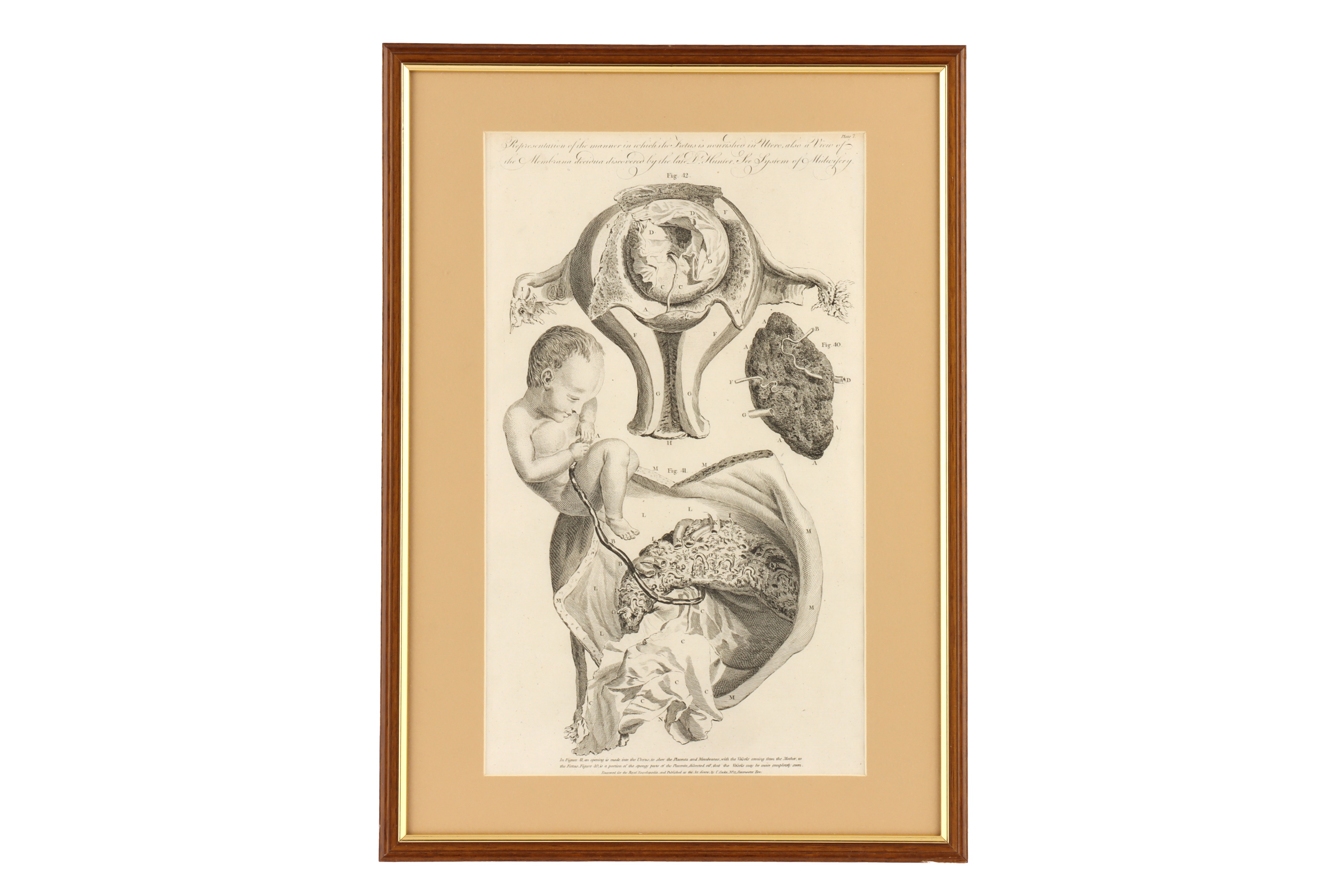 Eight Framed Antique Medical Prints, - Image 4 of 9