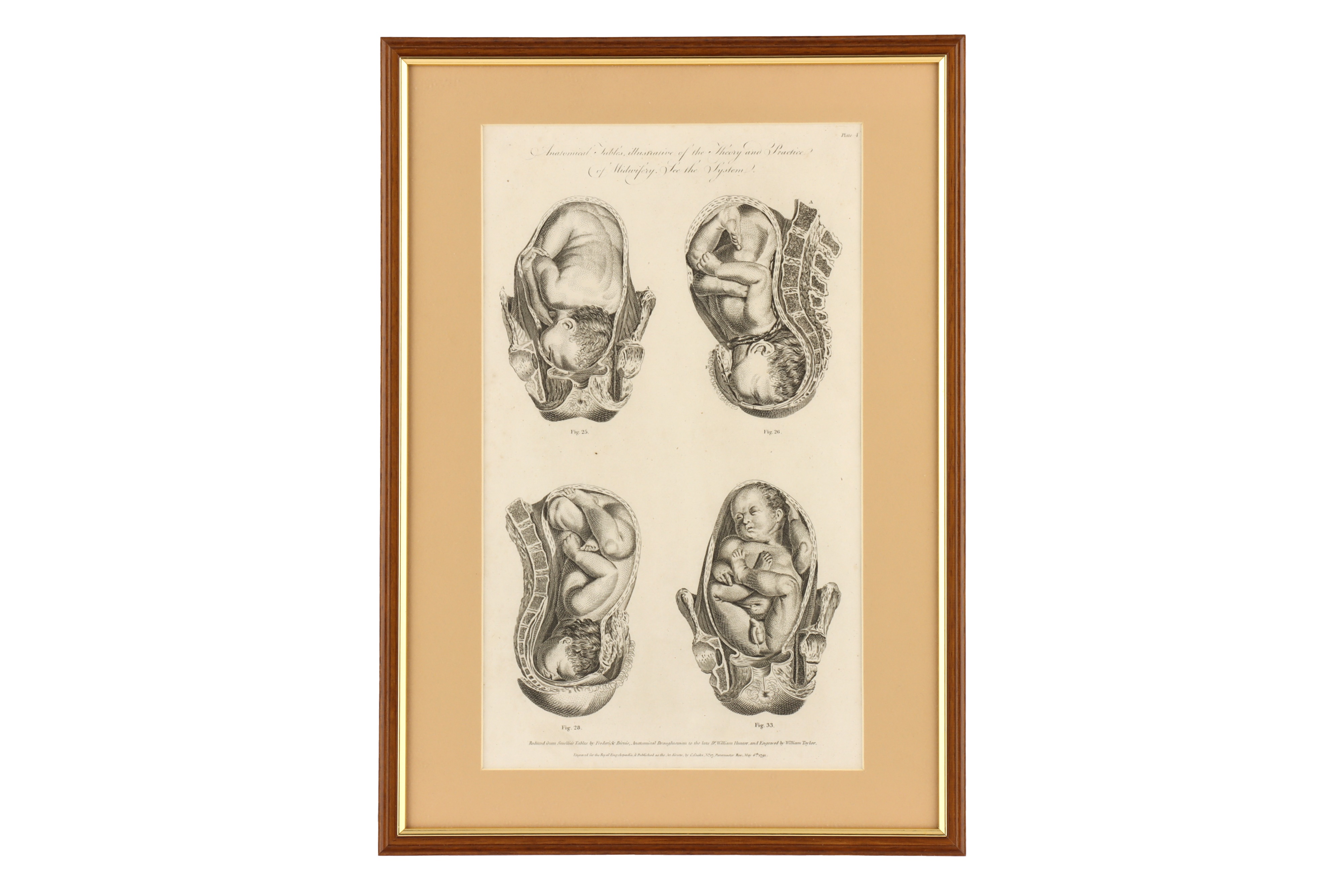 Eight Framed Antique Medical Prints, - Image 7 of 9