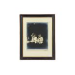 ANGUS BASIL (1883-1956), A Portrait Photograph of Two Infants,