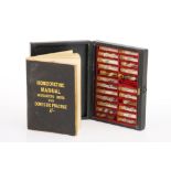 A 19th Century Small Homeopathic Remedy Case,