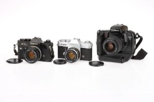 Three Canon 35mm SLR Cameras