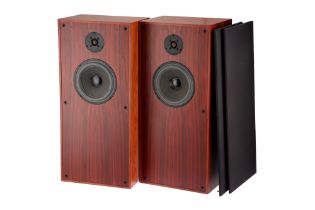 A Pair of Audio Note Model AN-E SE SPX 636 Speakers,