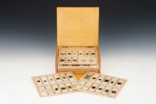 A Good Collection of Geological Microscope Slides,