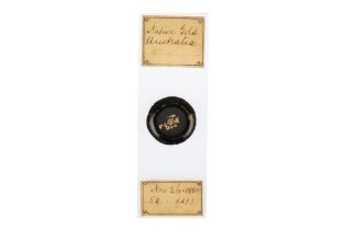 Native Australian Gold Microscope Slide,