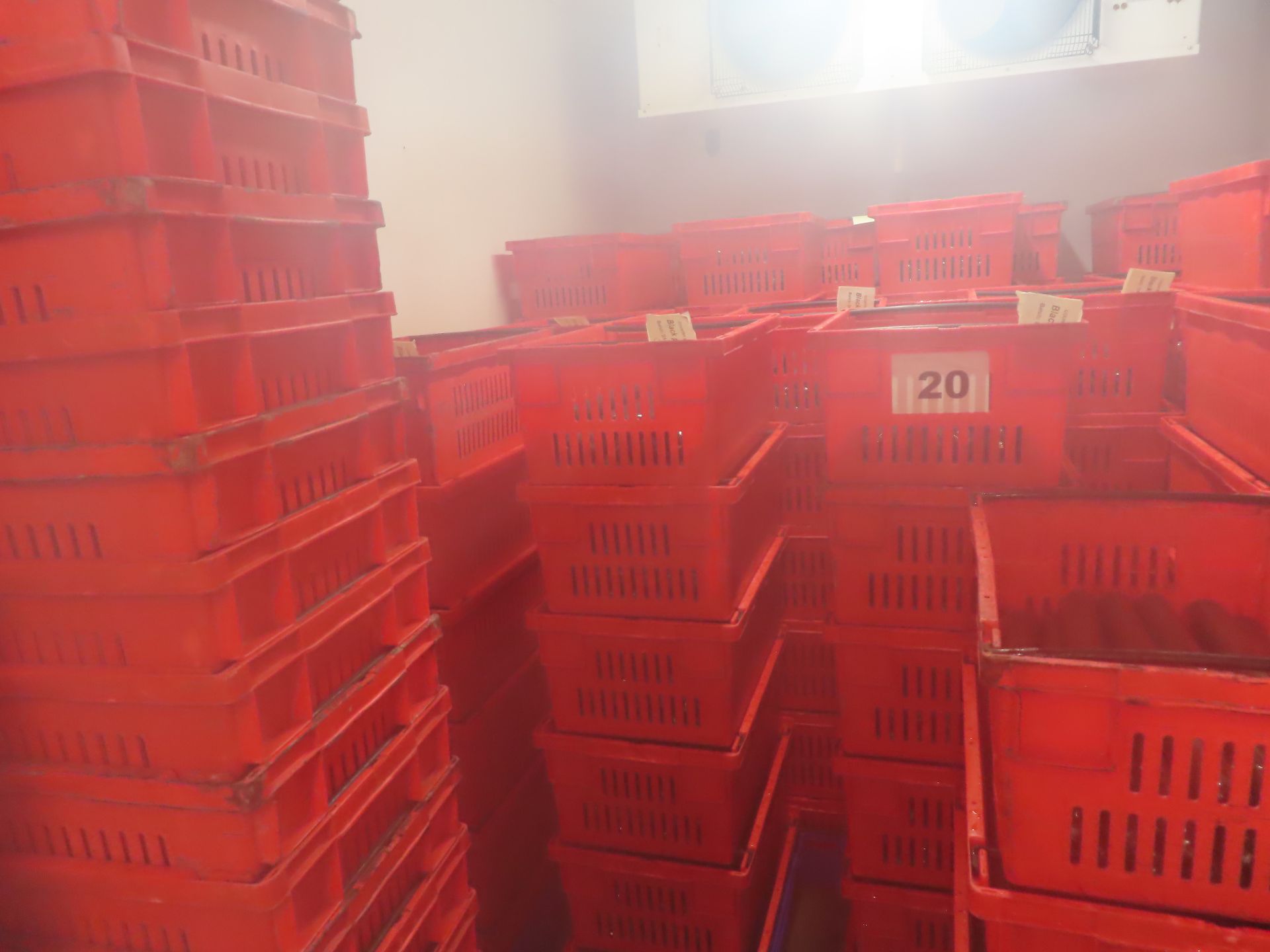 QTY APPROX. 150 RED PLASTIC CRATES. - Bild 3 aus 3