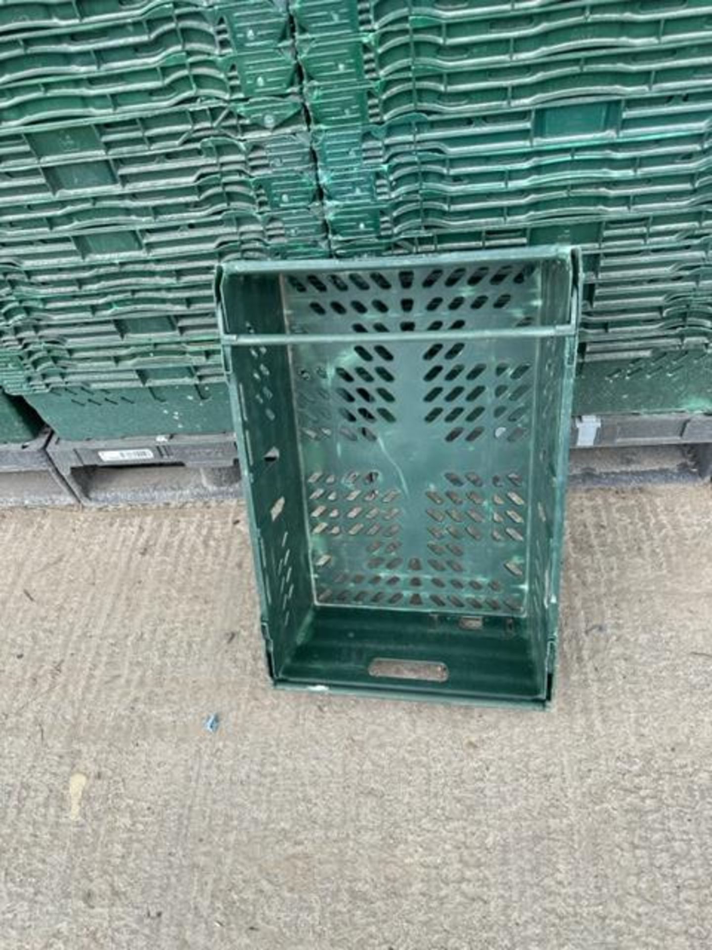 2 x HALF PALLETS CONTAINING 2 STACKS OF 70 TRAYS. (140 TRAYS). - Image 2 of 2