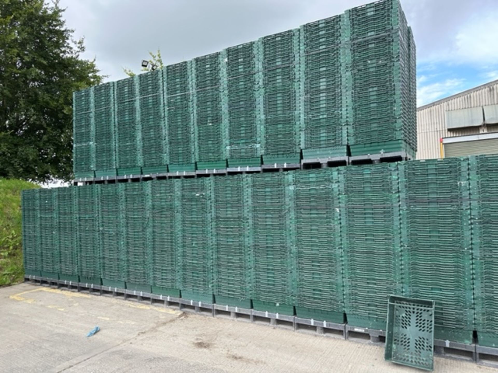 2 x HALF PALLETS CONTAINING 2 STACKS OF 70 TRAYS. (140 TRAYS). - Image 3 of 3