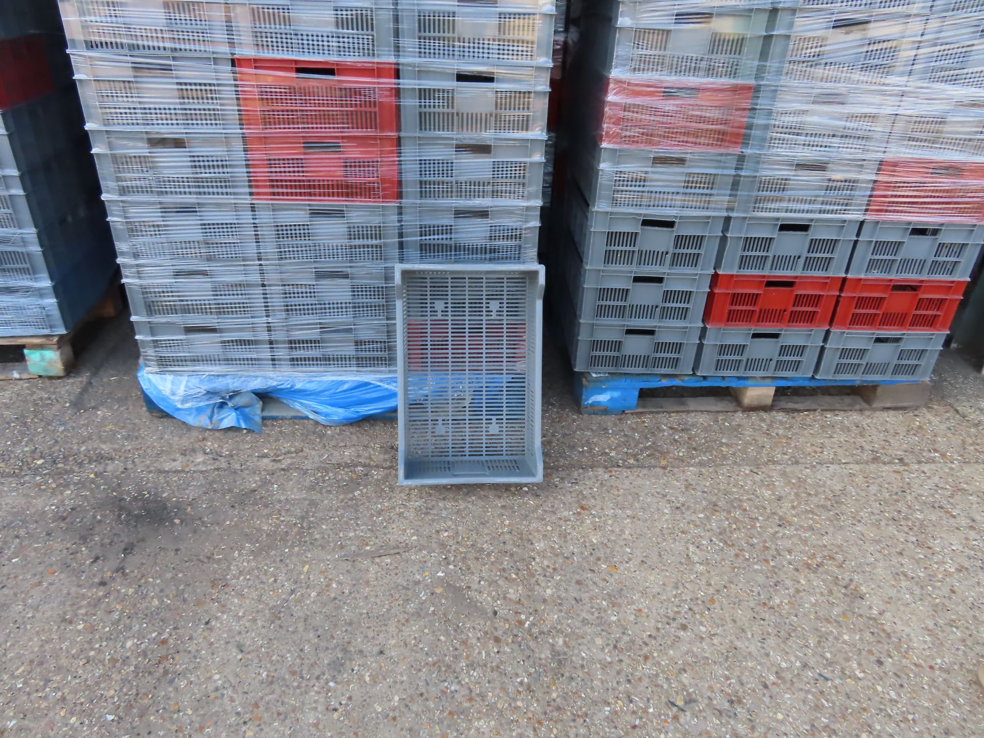 4 X PALLETS OF PLASTIC TRAYS. TOTAL 200 TRAYS. - Image 2 of 2