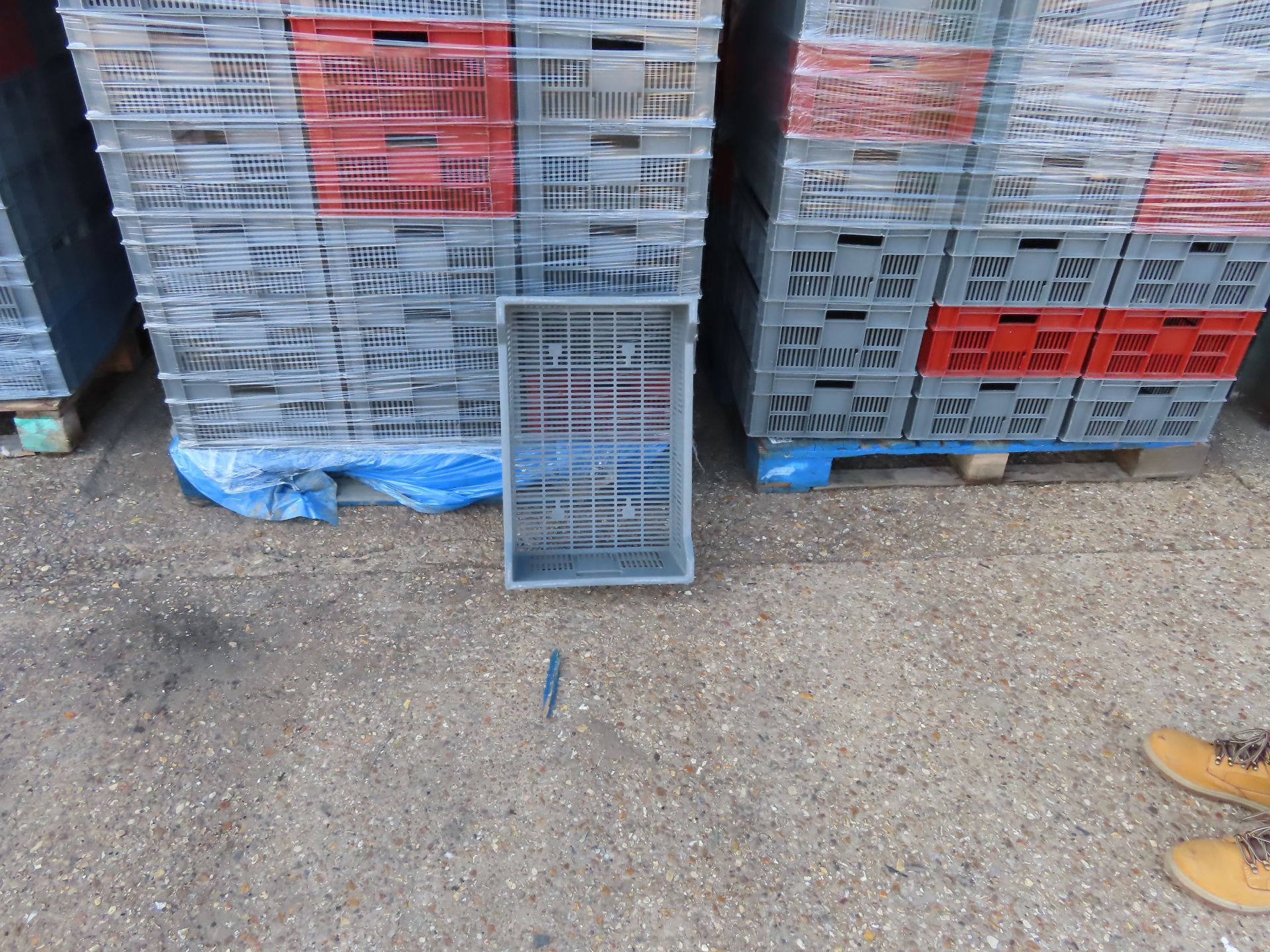4 X PALLETS OF PLASTIC TRAYS. TOTAL 200 TRAYS. - Image 2 of 2