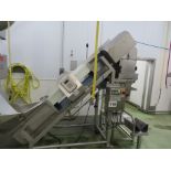 INCLINE CONVEYOR WITH SAFELINE METAL DETECTOR.