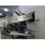 FLIGHTED BELT CONVEYOR.