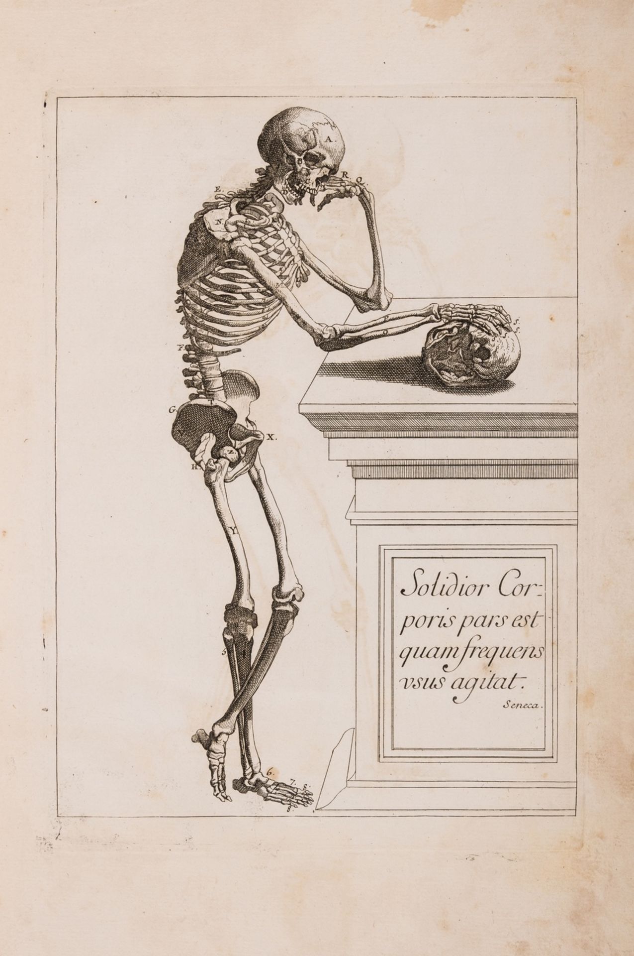 Anatomy.- Tortebat (Francois) Abregé d'Anatomie, accomodé aux Arts de Peinture et de Sculpture, …