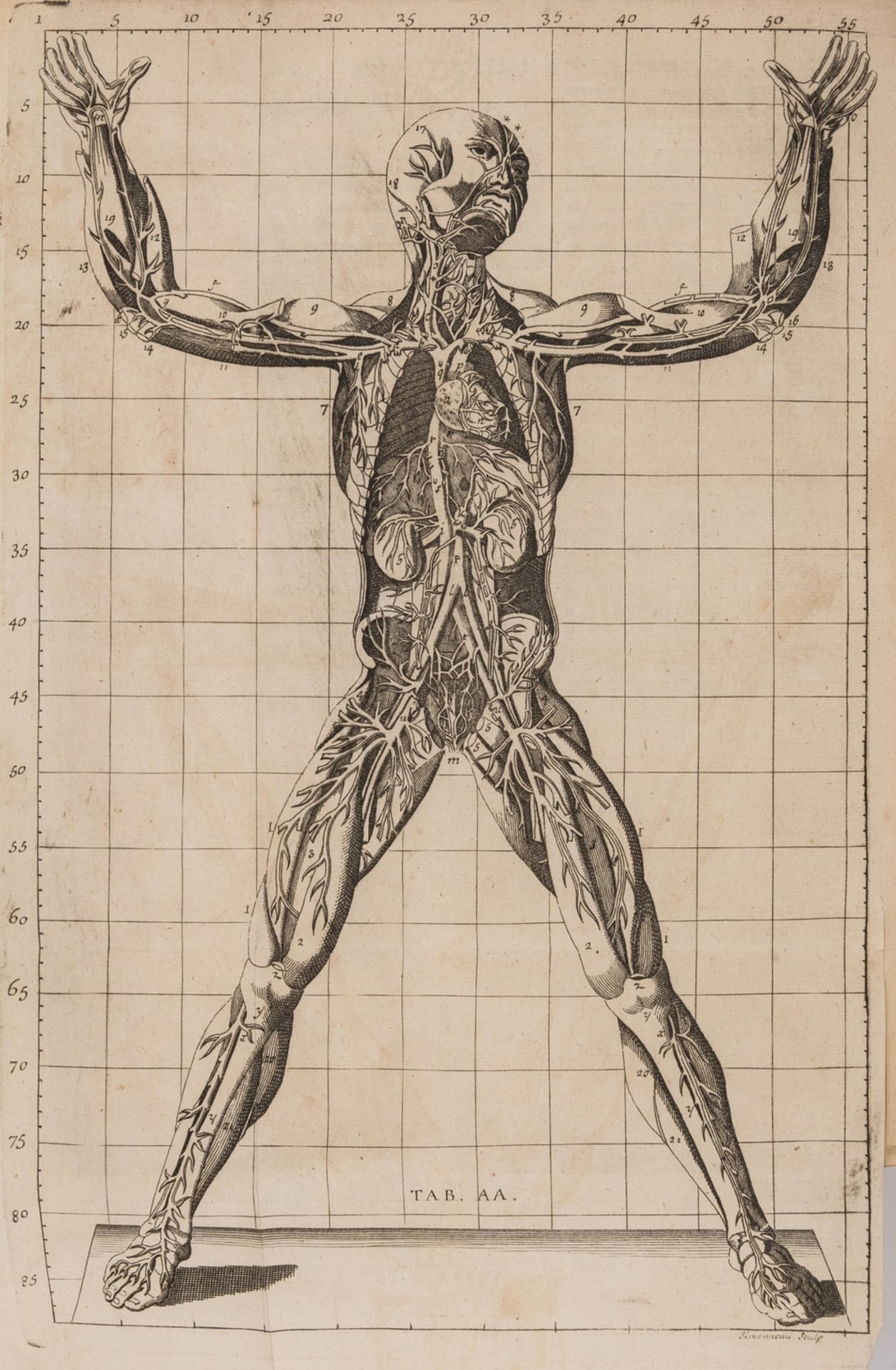 Anatomy.- Winslow (Jacques-Benigne) Exposition Anatomique de la Structure du Corps Humain, first …