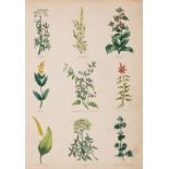 Herbals.- Culpeper (Nicholas) The Complete Herbal, Thomas Kelly, 1842; and Hill's Herbal, Bungay, …