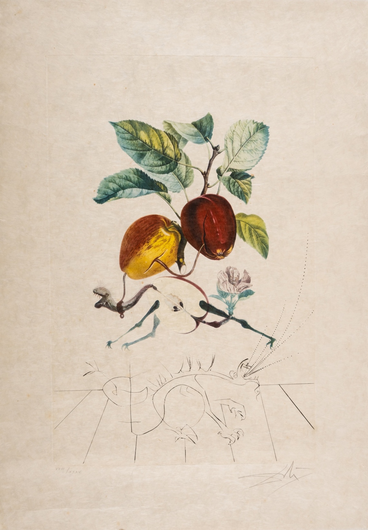 Salvador Dalí (1904-1989) Pomme Dragon, from Flordali (M&L 344a)