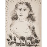 Pablo Picasso (1881-1973) after. 40 dessins De Picasso En Marge Du Buffon (Cramer 84)