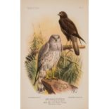 Birds.- Lilford (Lord) Notes on the Birds of Northamptonshire..., 2 vol., first edition, 1895 & …