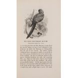 Birds.- [Bennett (Edward Turner)] The Gardens and Menagerie of the Zoological Society Delineated, …