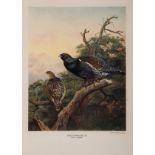 Birds.- Millais (John Guille) British Game Birds and Shooting-Sketches, first edition, 1892 & …