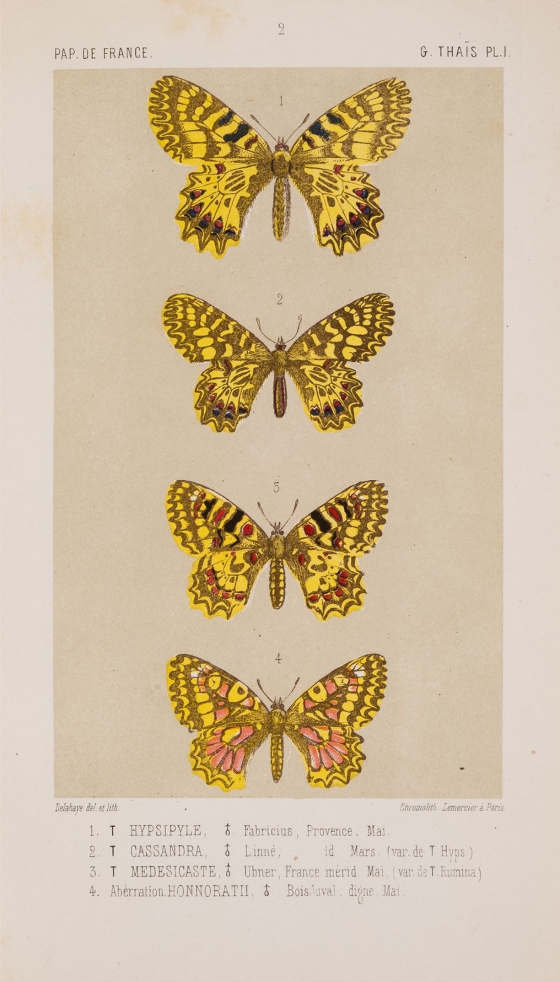 Delahaye (M.) Iconographie des Lepidopteres, Papillons de France, 16 parts in 1, Paris, 1852.